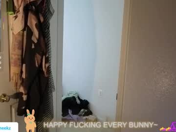 Bunnycheekz Chaturbate stream image from October 18, 2025