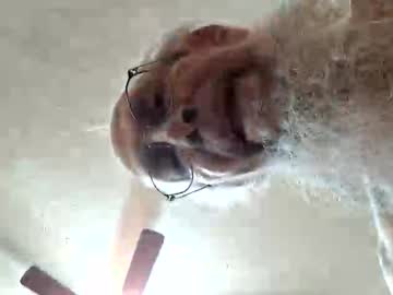 Rexwanker4everyone Chaturbate stream image from October 19, 2025