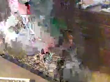 Scotthard Chaturbate stream image from October 21, 2025