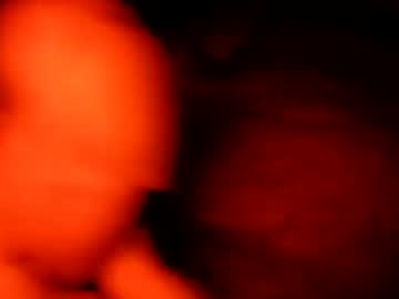 Macdad1219 Chaturbate stream image from October 23, 2025