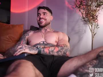 Dominic_Sullivan1 Chaturbate stream image from October 23, 2025