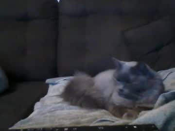 Aadamss Chaturbate stream image from October 25, 2025