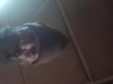 820life Chaturbate stream image from October 26, 2025