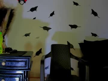 Carlota_Flow Chaturbate stream image from October 27, 2025