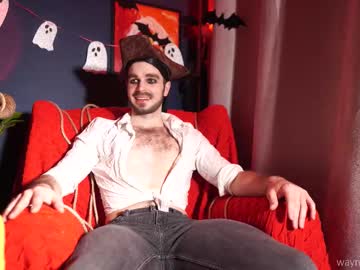 Waynenorth Chaturbate stream image from October 31, 2025