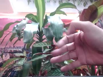 Jazmin_Ph Chaturbate stream image from November 01, 2025