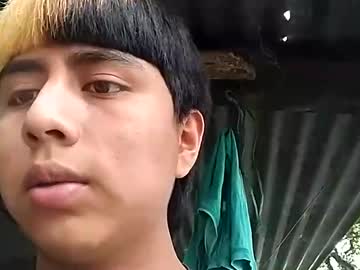 Wild_Touch Chaturbate stream image from November 01, 2025