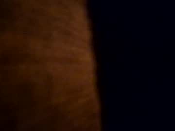 Cabox Chaturbate stream image from November 05, 2025