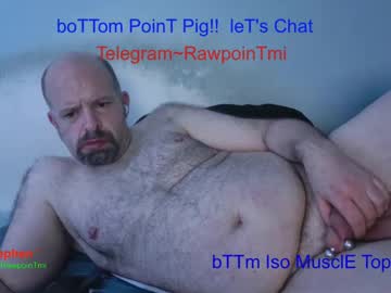 Rawpointpig41 Chaturbate stream image from November 07, 2025