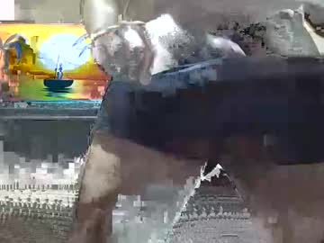 26antonior Chaturbate stream image from November 07, 2025