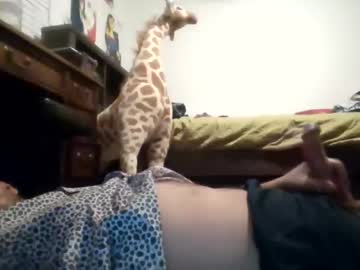 Djbigfish24 Chaturbate stream image from November 09, 2025