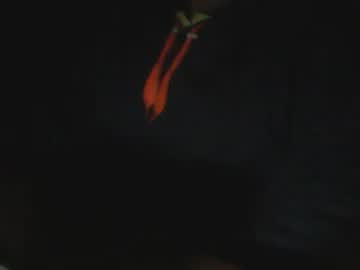 Dolcedillei Chaturbate stream image from November 09, 2025