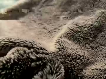 Aliosis1 Chaturbate stream image from November 10, 2025