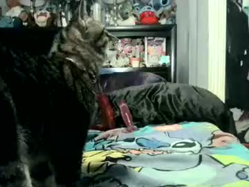 Reggieroux Chaturbate stream image from November 10, 2025