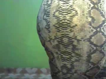 Goddessebon Chaturbate stream image from November 11, 2025