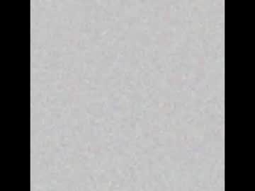 Moonjoey Chaturbate stream image from November 13, 2025