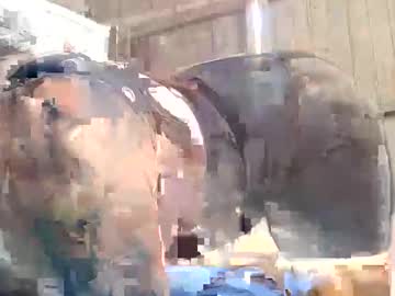 Comandobfim52 Chaturbate stream image from November 13, 2025