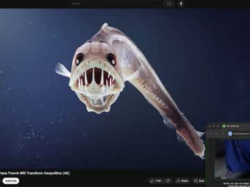 Wandedger Chaturbate stream image from November 13, 2025