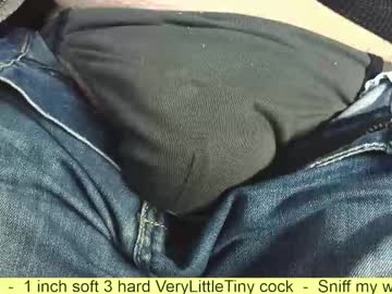 Verylittletiny Chaturbate stream image from November 14, 2025