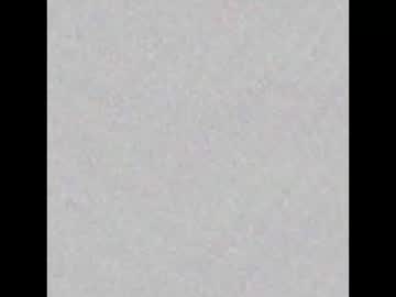 Noshame31 Chaturbate stream image from November 15, 2025