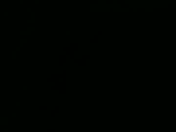 Zayachloe Chaturbate stream image from November 15, 2025