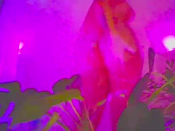 Vixenkittenxo Chaturbate stream image from November 15, 2025