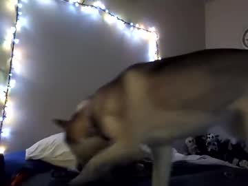 Larry_Tiff2411 Chaturbate stream image from November 18, 2025