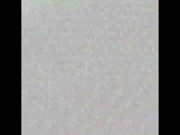 0xomarx0 stream image from November 19, 2025
