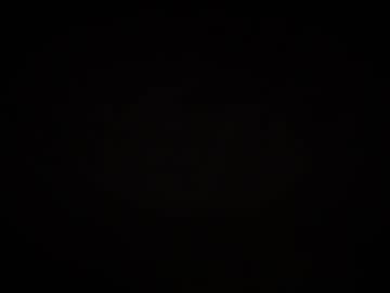 Salemilla Chaturbate stream image from November 19, 2025