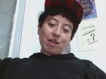Poly_Mer Chaturbate stream image from November 20, 2025