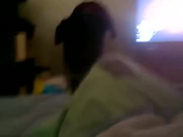 Td42020 Chaturbate stream image from November 20, 2025