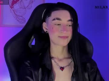 Mulan_Sheng69 Chaturbate stream image from November 21, 2025