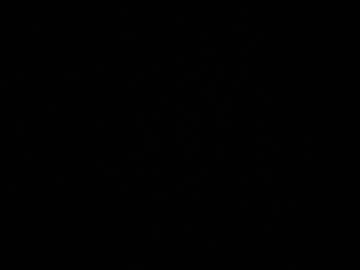 Nelielg Chaturbate stream image from November 22, 2025