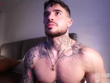 Dominic_Sullivan1 Chaturbate stream image from November 23, 2025