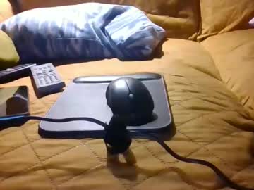 Rank80 Chaturbate stream image from November 26, 2025