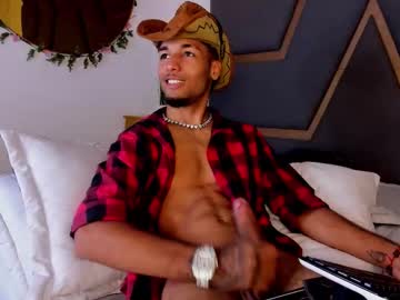Thiagoferreti_ Chaturbate stream image from November 26, 2025