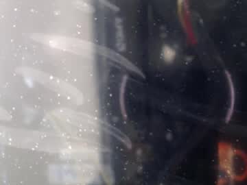 Sweet_Poison_666 Chaturbate stream image from November 26, 2025