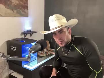 Toyboy_007 Chaturbate stream image from November 28, 2025