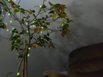 Afrodisiacaly stream image from November 30, 2025