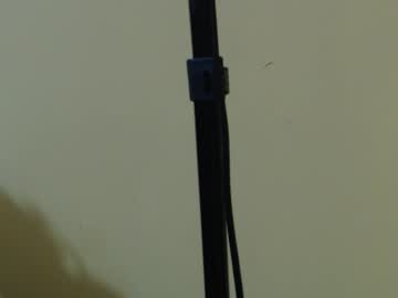 Amazinerika Chaturbate stream image from December 03, 2025