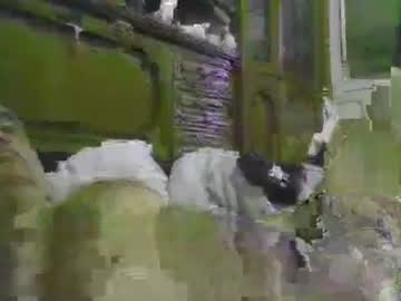 A203530 Chaturbate stream image from December 04, 2025