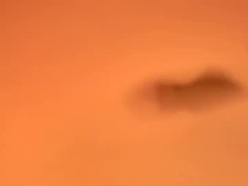 Protecbuzz Chaturbate stream image from December 06, 2025