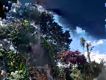 Popeye_Hot_ Chaturbate stream image from December 08, 2025