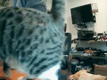 Weseeyouwatching Chaturbate stream image from December 08, 2025