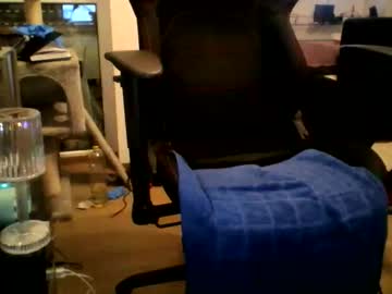 Bodogallen2 Chaturbate stream image from December 11, 2025