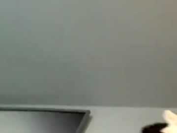 Rogerbenid81 Chaturbate stream image from December 11, 2025