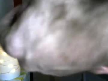 Abercrombieguy22 Chaturbate stream image from December 15, 2025