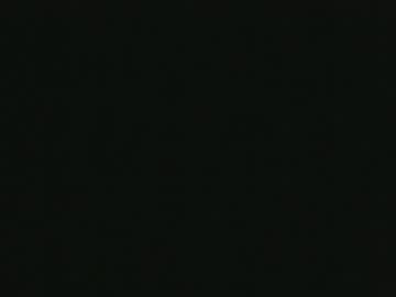 Whitehead_Lion Chaturbate stream image from December 15, 2025