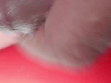 Bubblecum5973 Chaturbate stream image from December 16, 2025