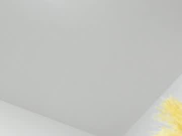 Tayler_Swift1 Chaturbate stream image from December 16, 2025
